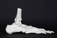 A detailed anatomical model of a human foot skeleton positioned on a dark background, displaying all the bones accurately.