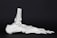 A detailed anatomical model of a human foot skeleton positioned on a dark background, displaying all the bones accurately.