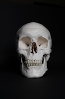 white skull on black surface