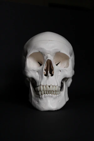 Jaw structure
