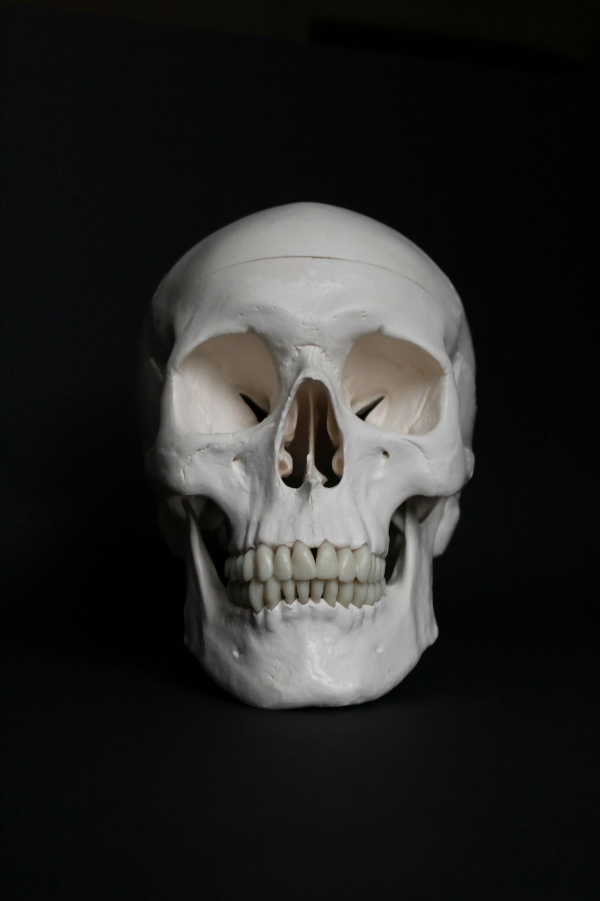 Halloween Watercolor Skull Tutorial