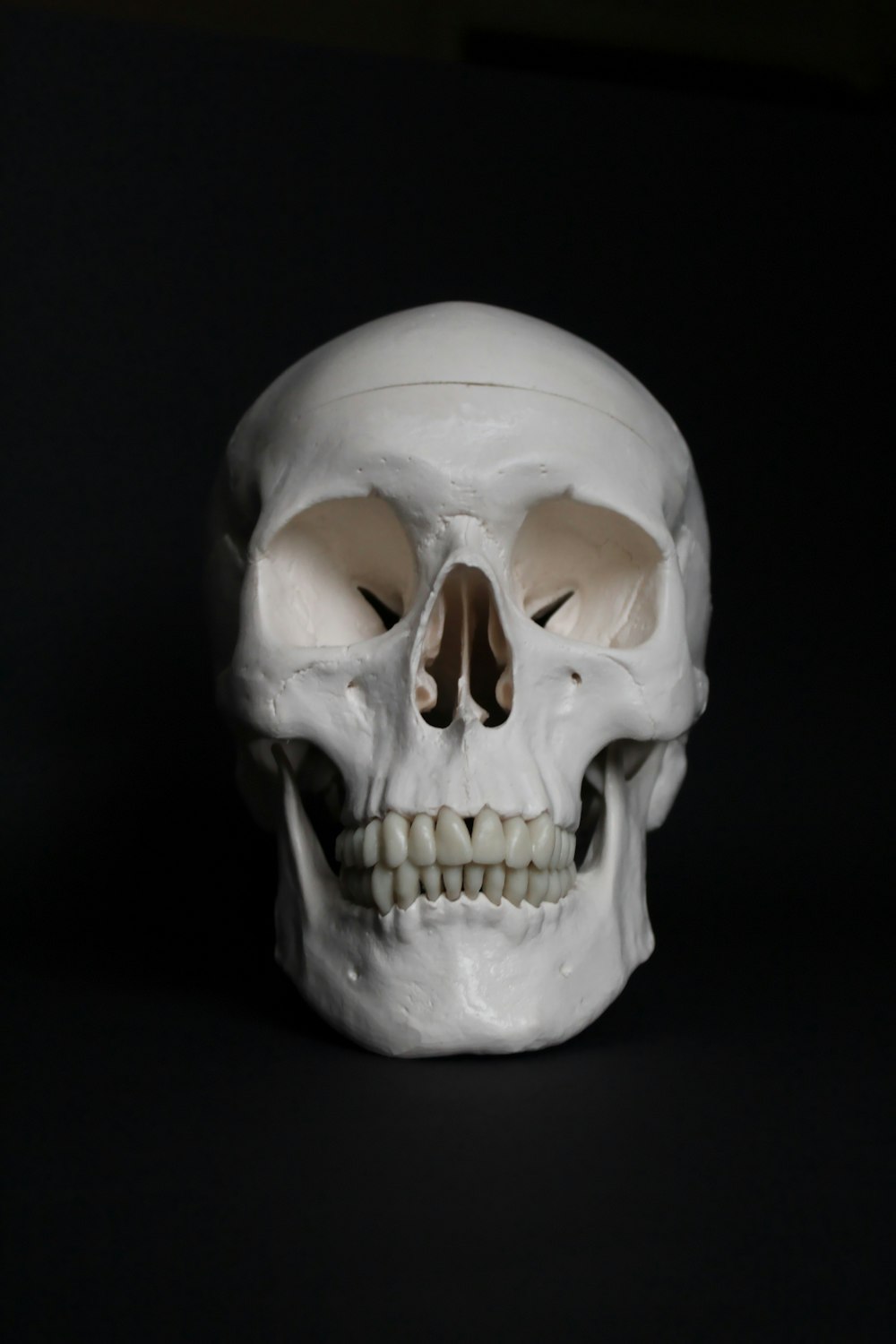 white skull on black surface