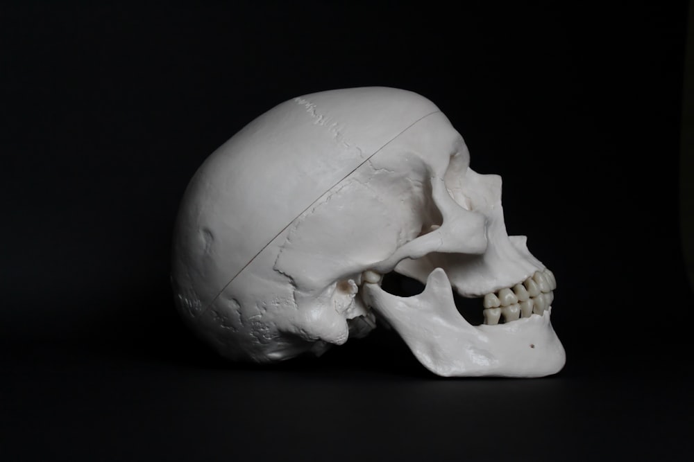 crâne blanc sur surface noire