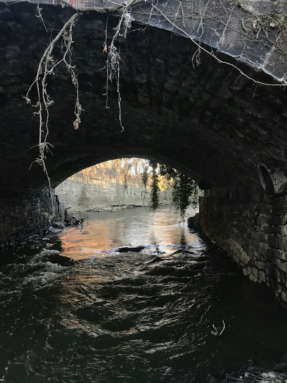 Túnel de hormigón marrón y gris