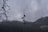 A tall pole with multiple security cameras and loudspeakers is situated in the middle of a misty, mountainous area. Bare tree branches are visible in the foreground, while buildings and infrastructure are seen on the hills in the background. The sky is overcast, contributing to a gloomy atmosphere.