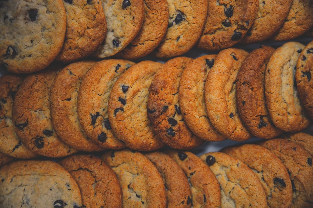 brown cookies on white plate