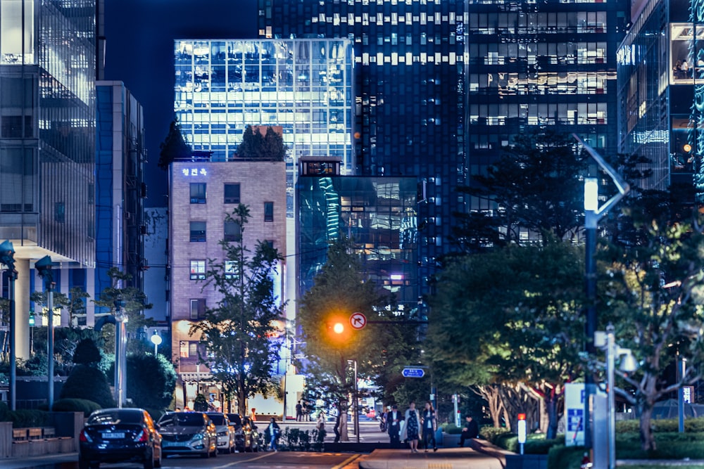 people walking on street during night time