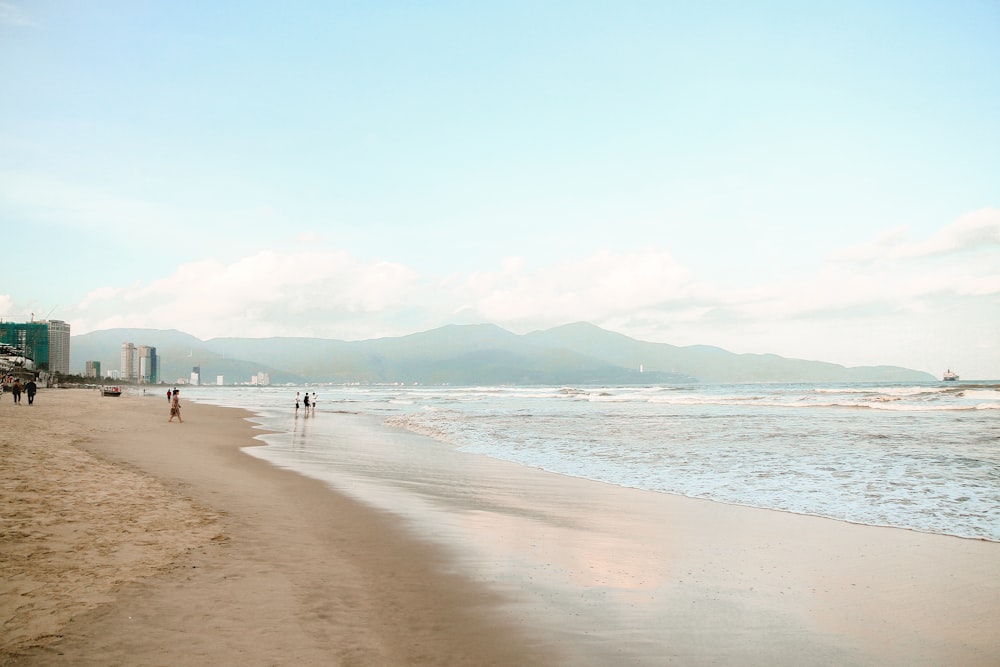 people on beach during daytime