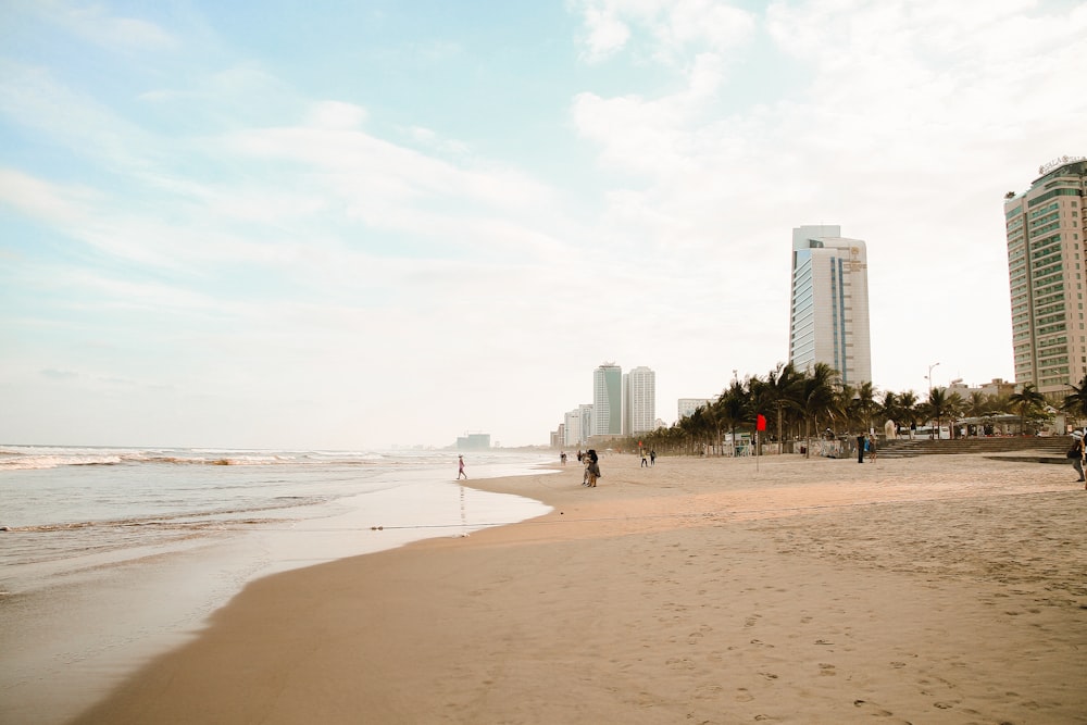 people on beach during daytime