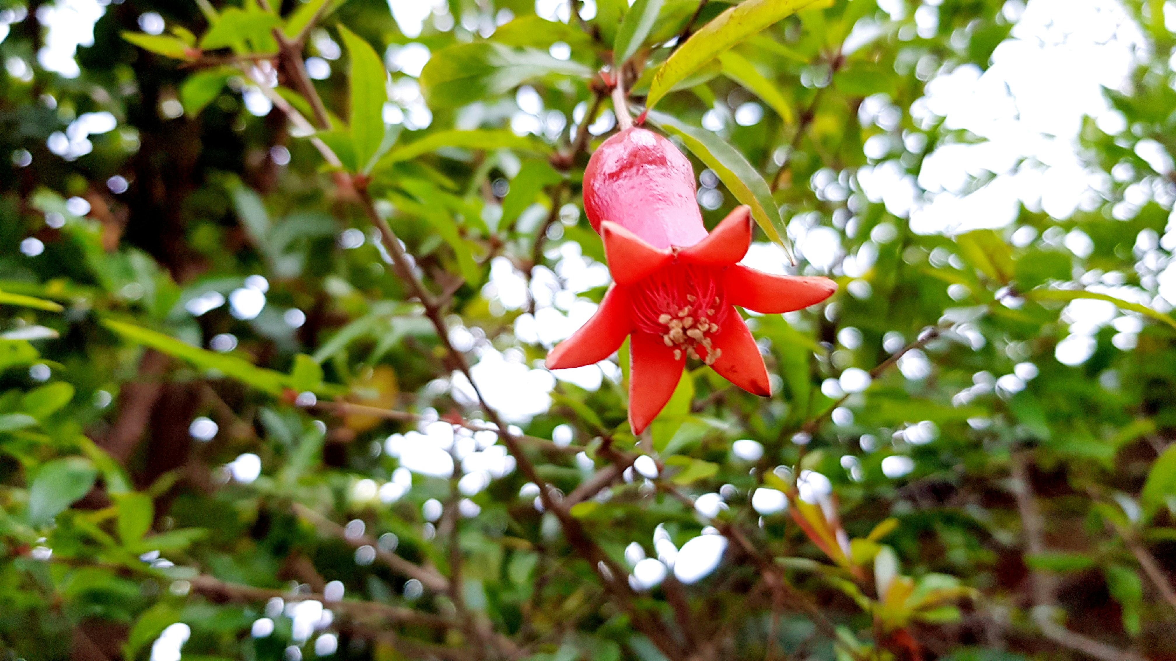 Photo by mahah7