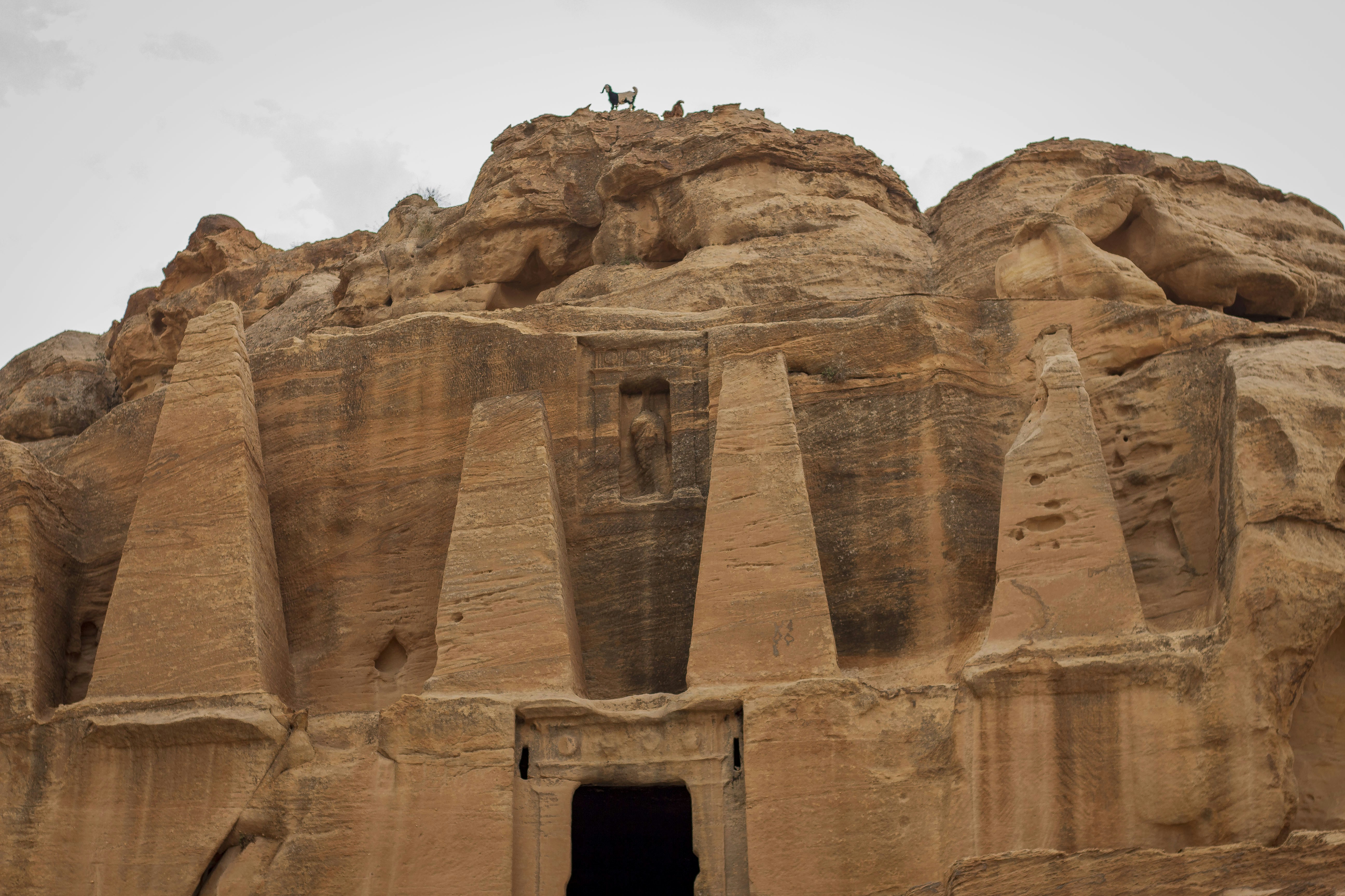 Photo by zena_alyousef