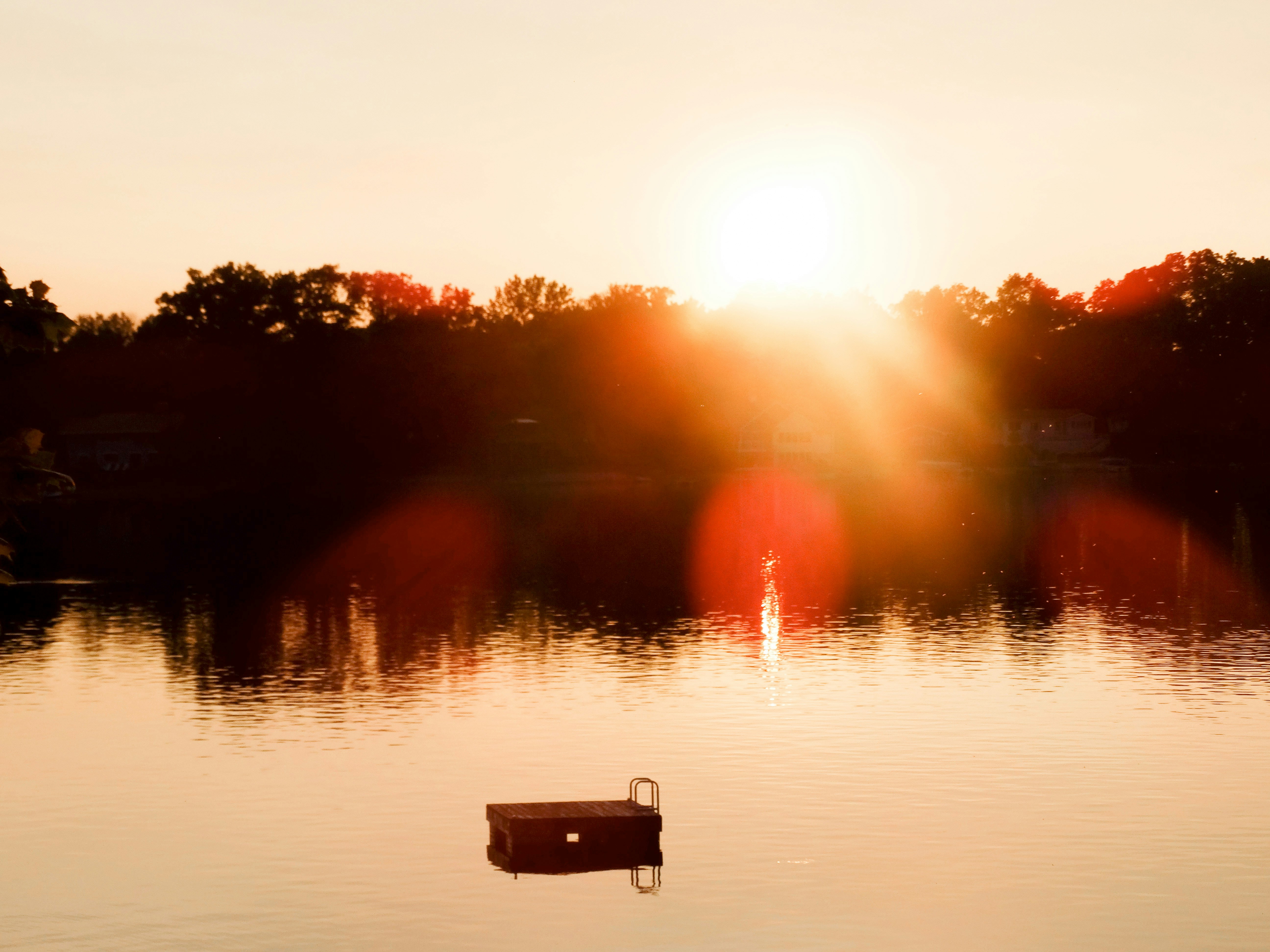 Photo by joyfulcaptures