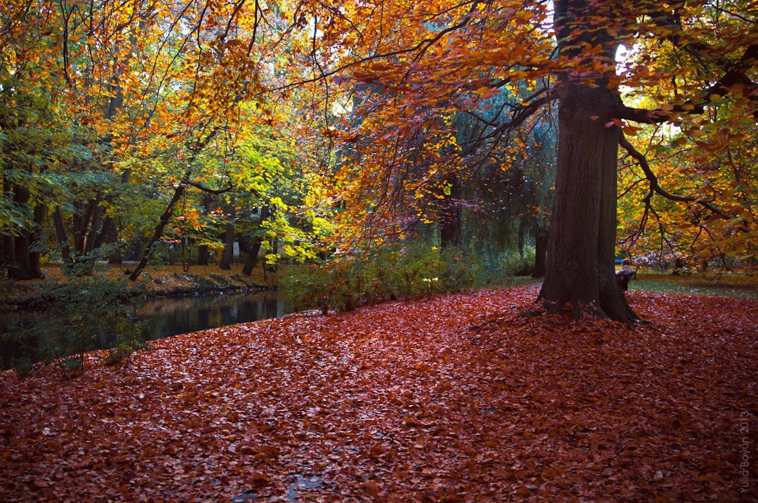 travelers stories about Forest in Gdańsk, Poland