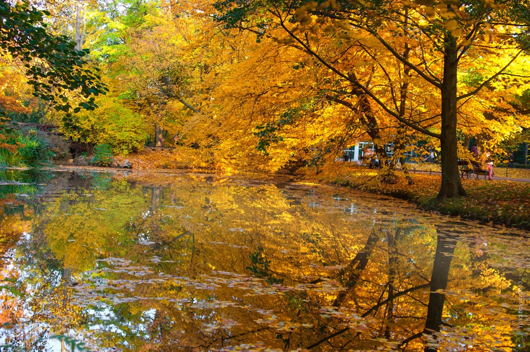 travelers stories about Nature reserve in Gdańsk, Poland