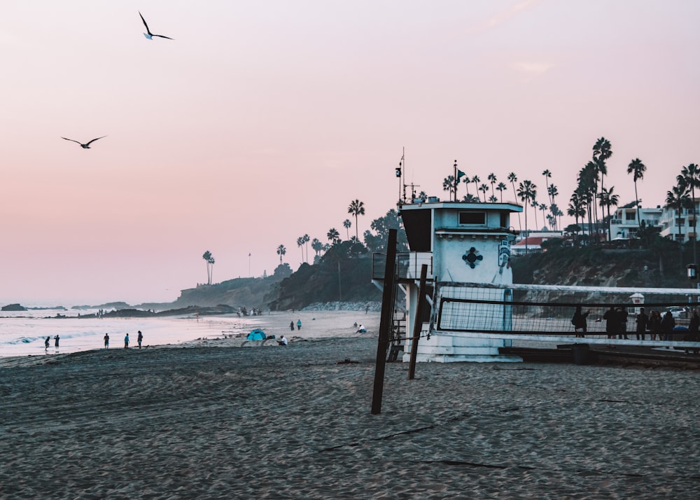 white and red lifeguard house on beach during daytime