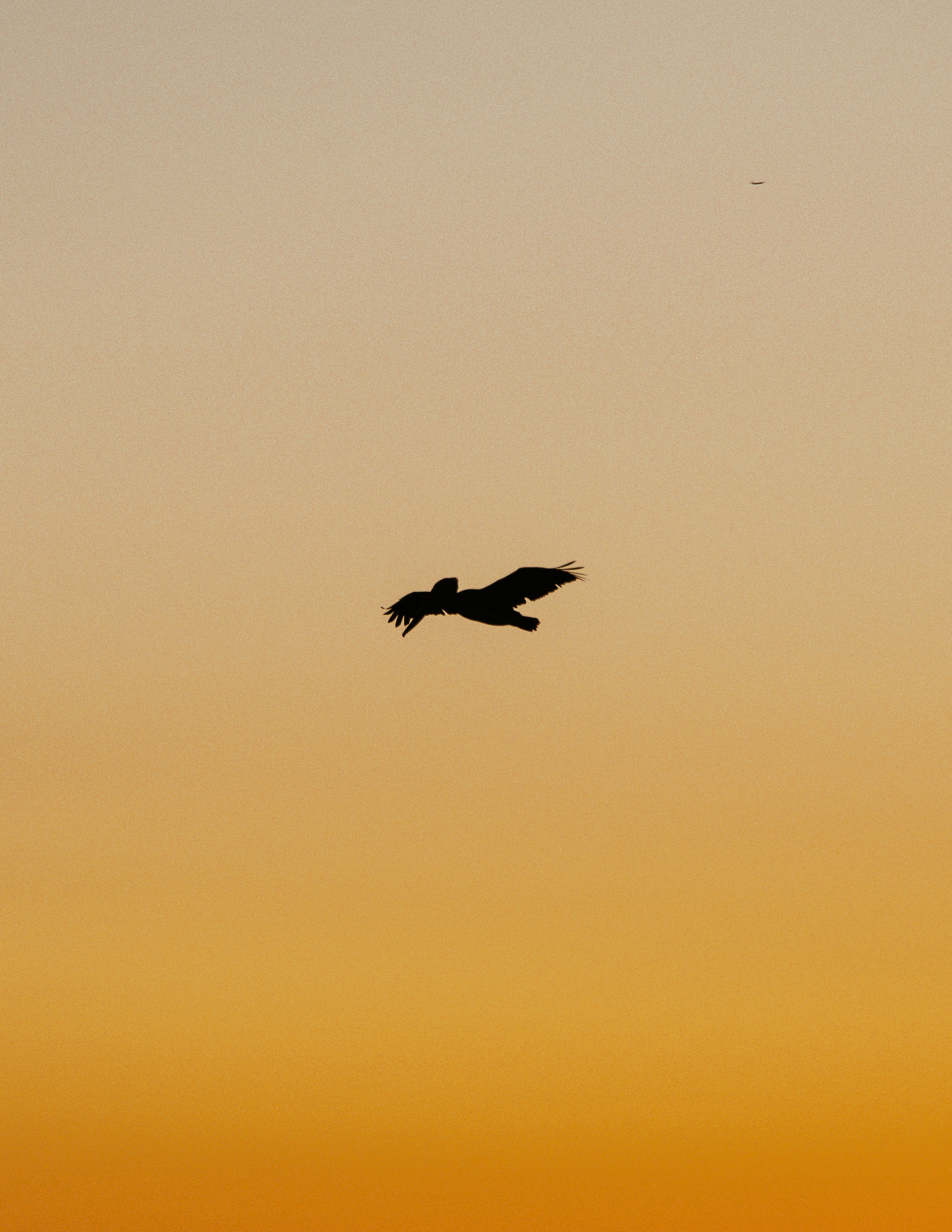 Photo by framesforyourheart