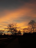 silhouette of trees during sunset