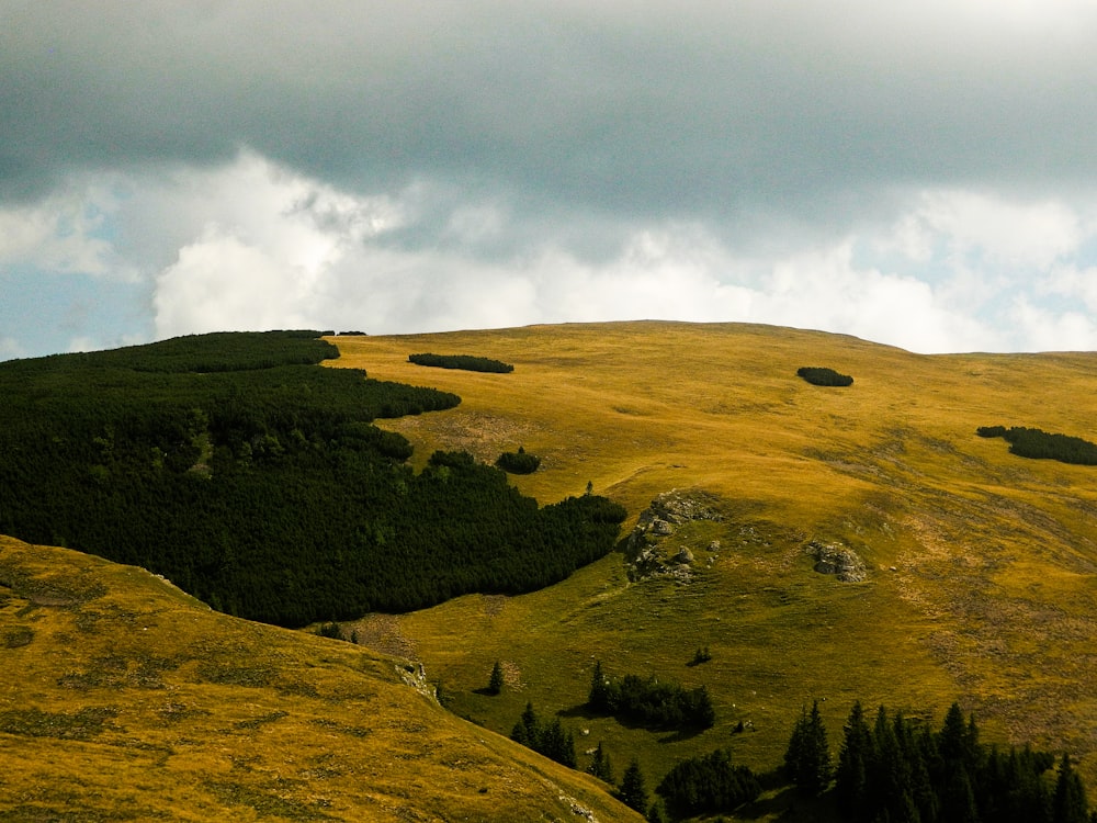 green grass field under cloudy sky during daytime