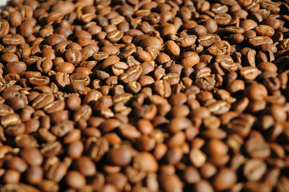 brown coffee beans in close up photography