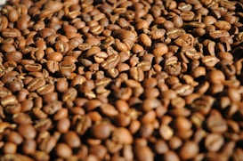 A large pile of roasted coffee beans fills the frame, with a rich, dark brown hue and a slight oily sheen. The texture and intricate details of individual beans are visible, highlighting a combination of smooth surfaces and slightly wrinkled seams.