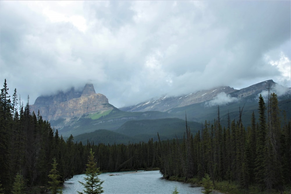 green trees near mountain under cloudy sky during daytime