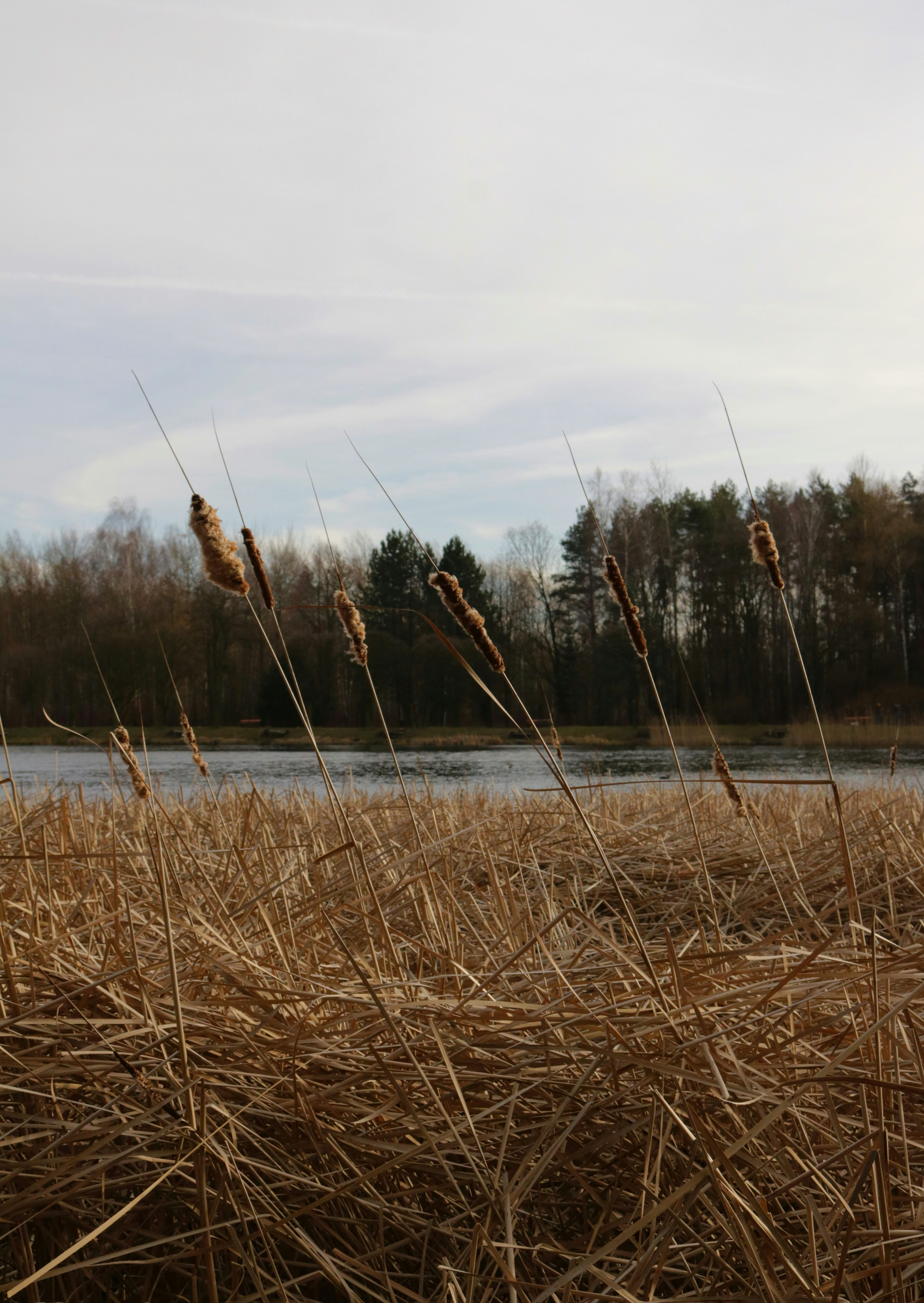 Photo by hotornot