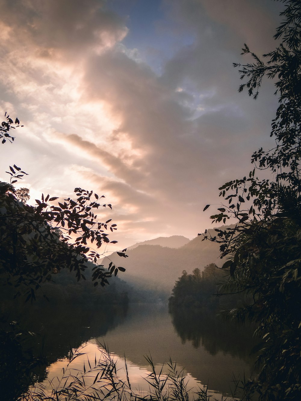 green trees near river under cloudy sky during daytime