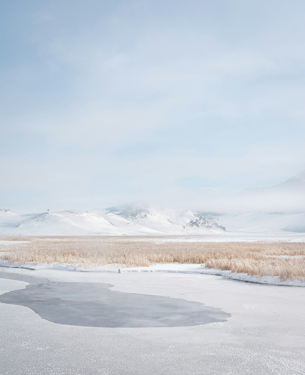 snow covered field under white cloudy sky during daytime