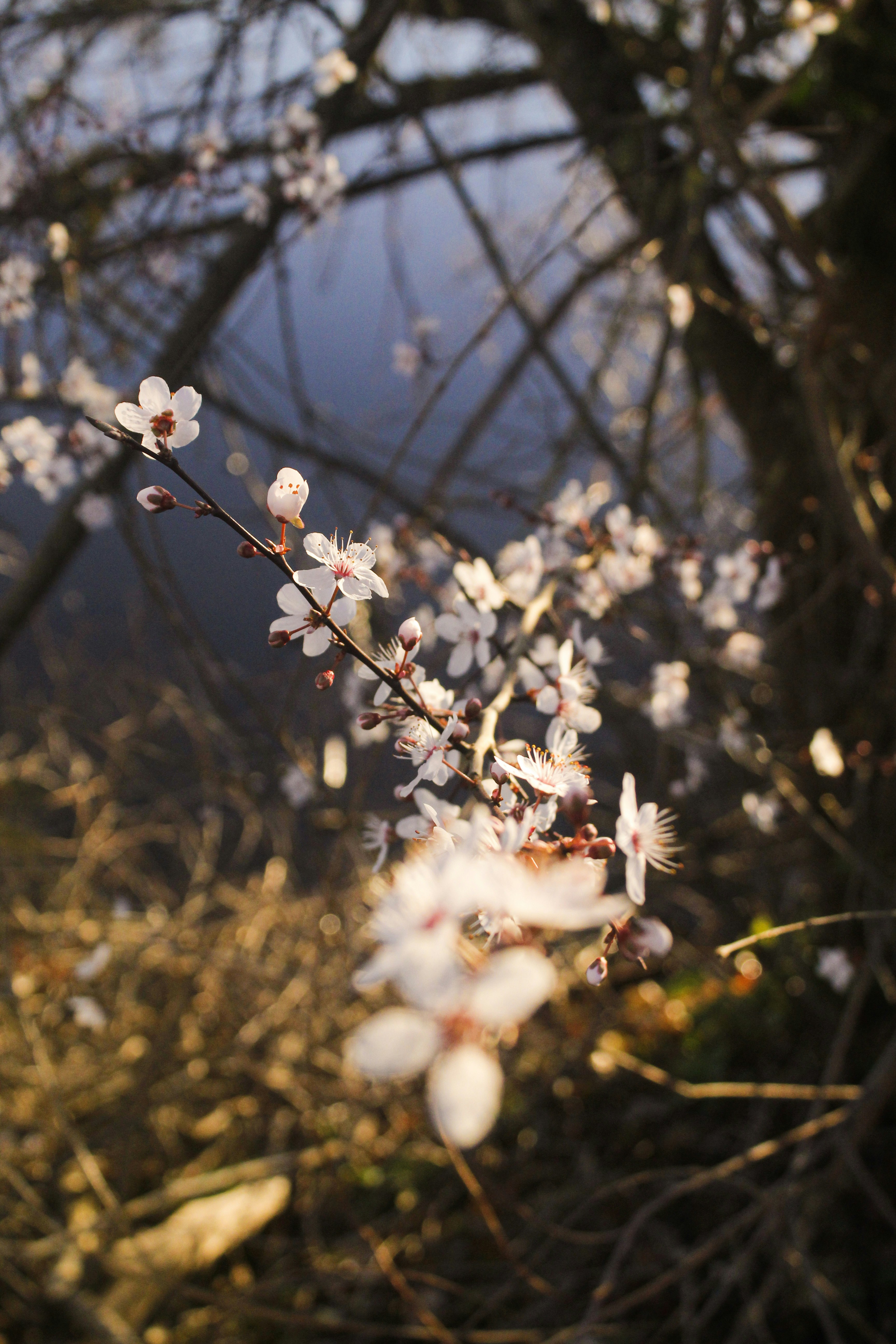 Photo by phhappy0108