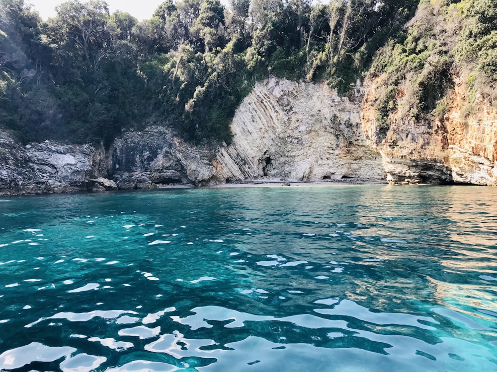 body of water near green trees during daytime