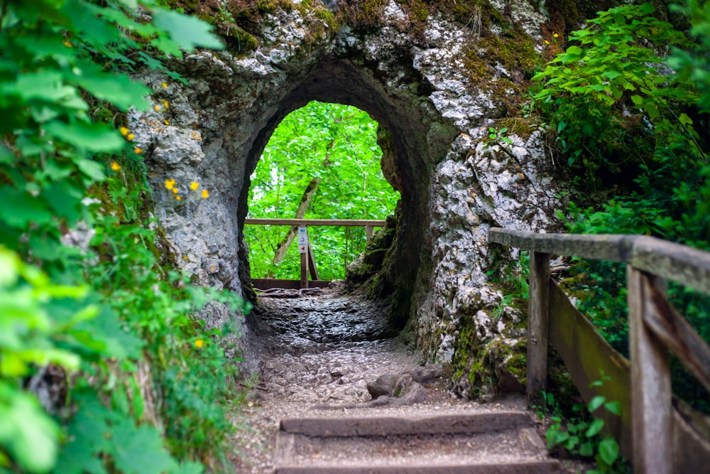 brown wooden bridge in the middle of green trees