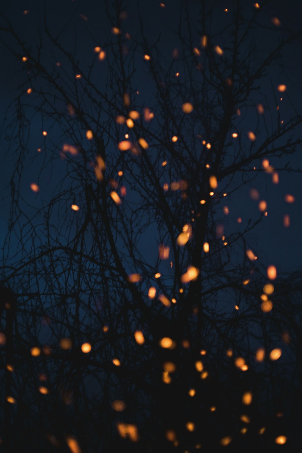 yellow and black string lights