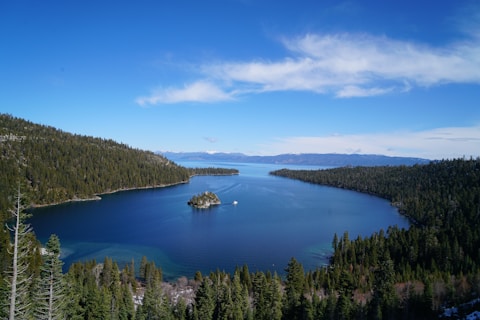 green trees near blue lake under blue sky during daytime