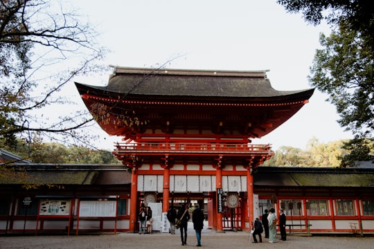 people walking on red and white temple during daytime in Shimogamo-Jinja Japan