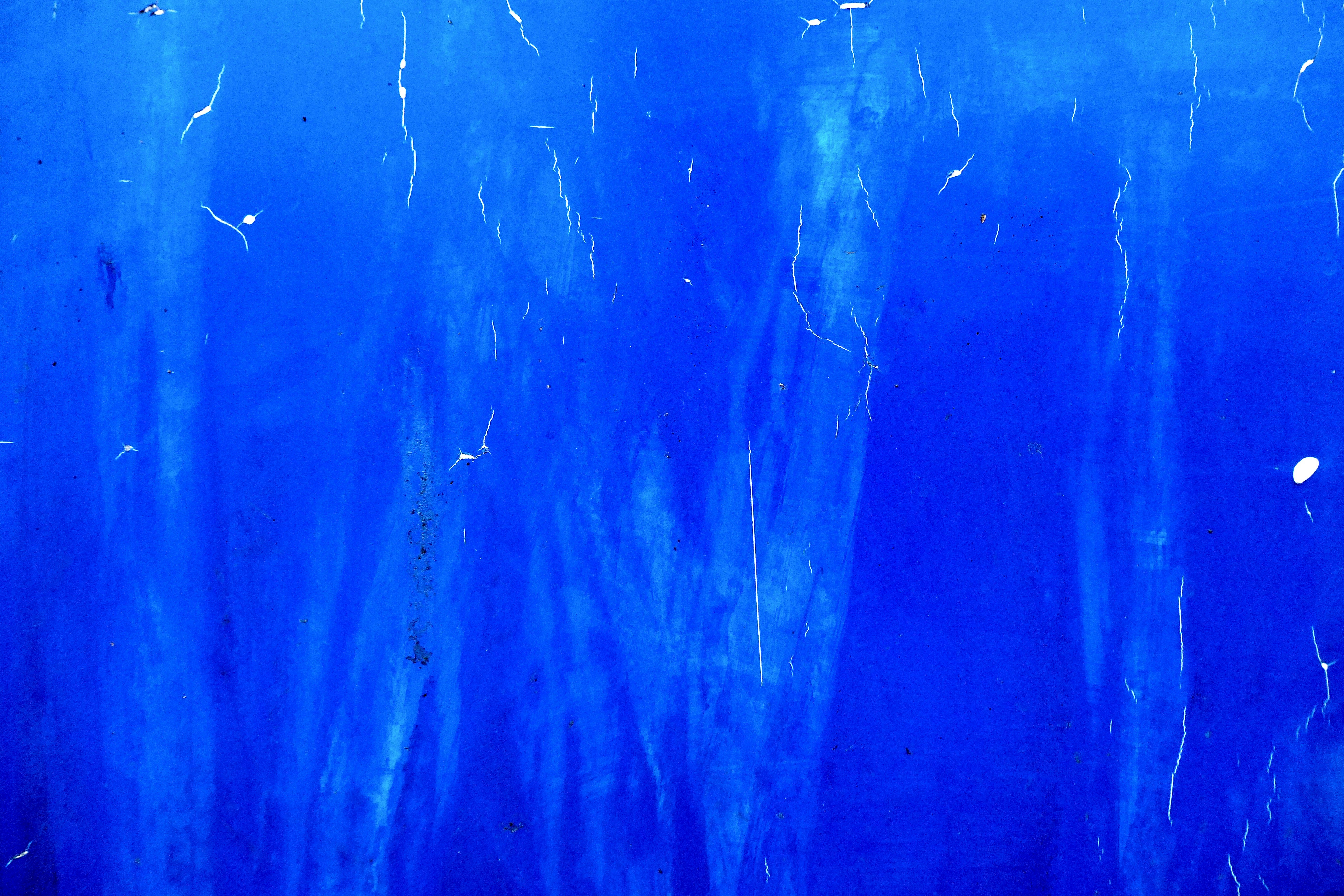 woman holding dried flower