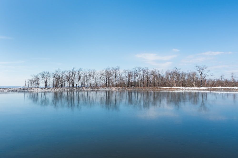 body of water near trees during daytime