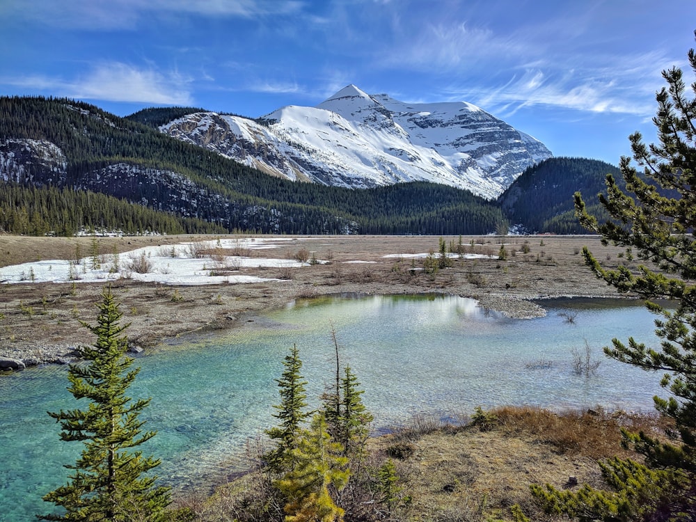 green trees near lake and snow covered mountain during daytime