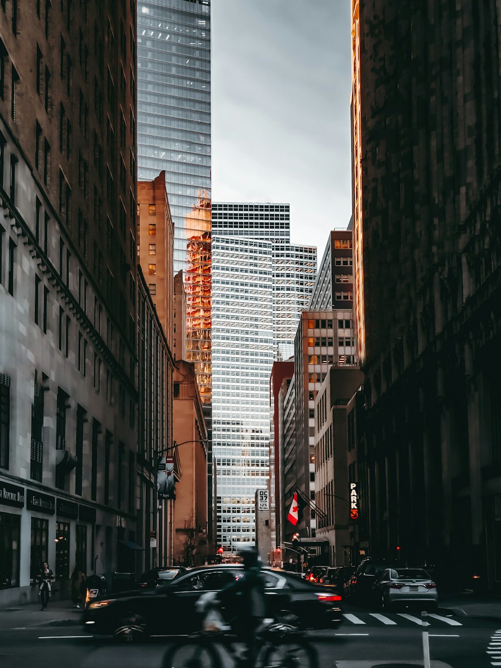 cars on road between high rise buildings during daytime