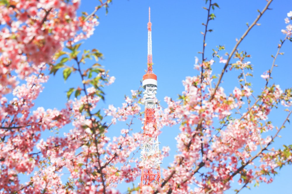 Tour blanche et rouge sous le ciel bleu pendant la journée