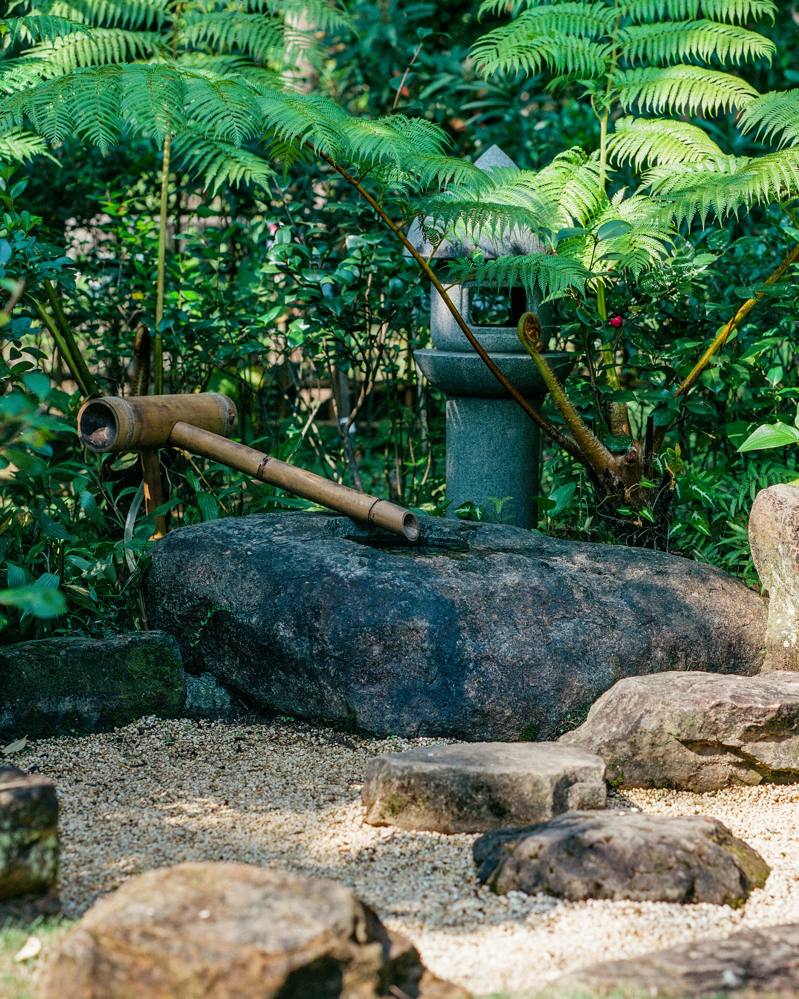 black and brown metal pipe on gray rock