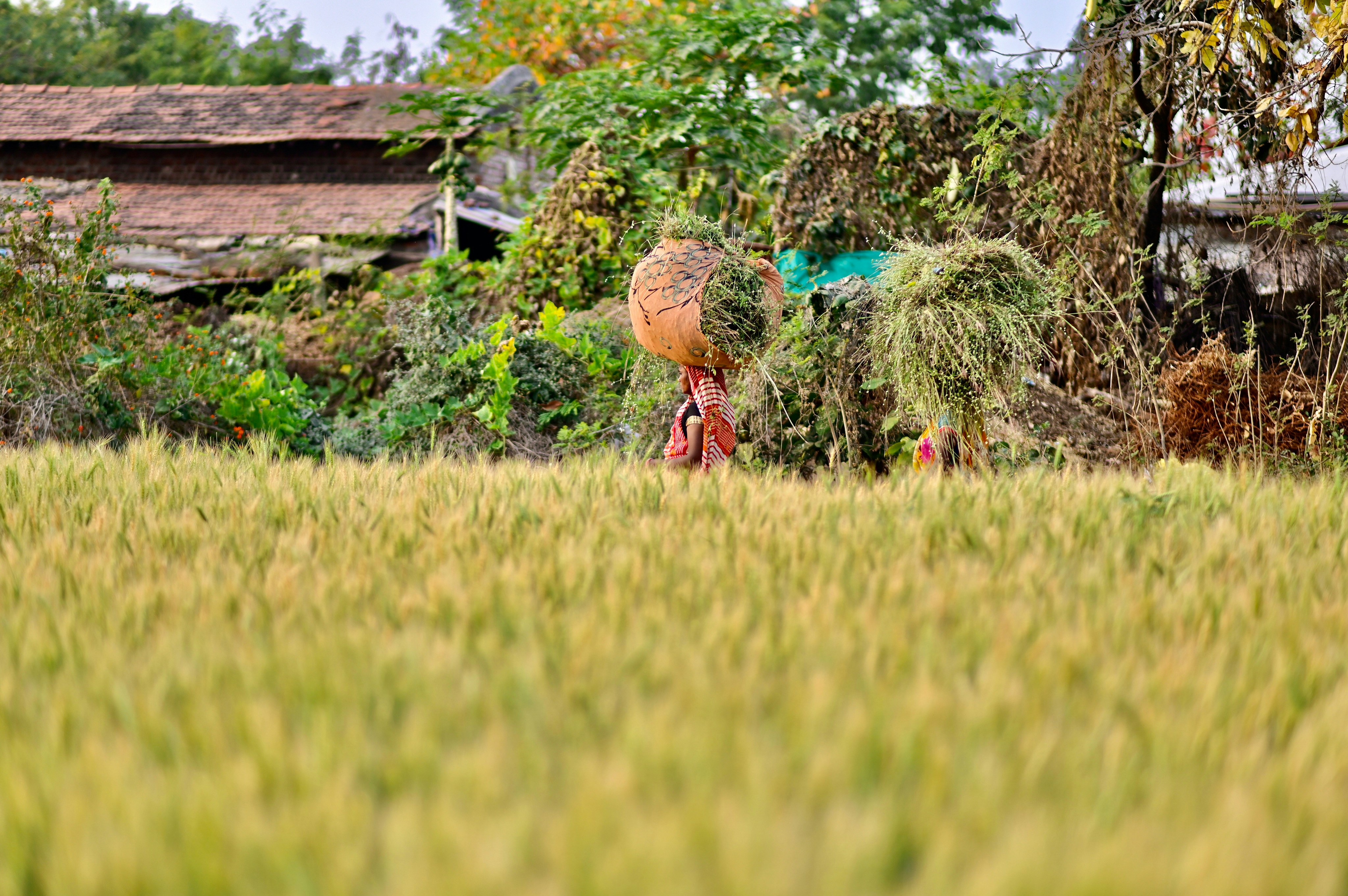 Photo by rrajputphotography