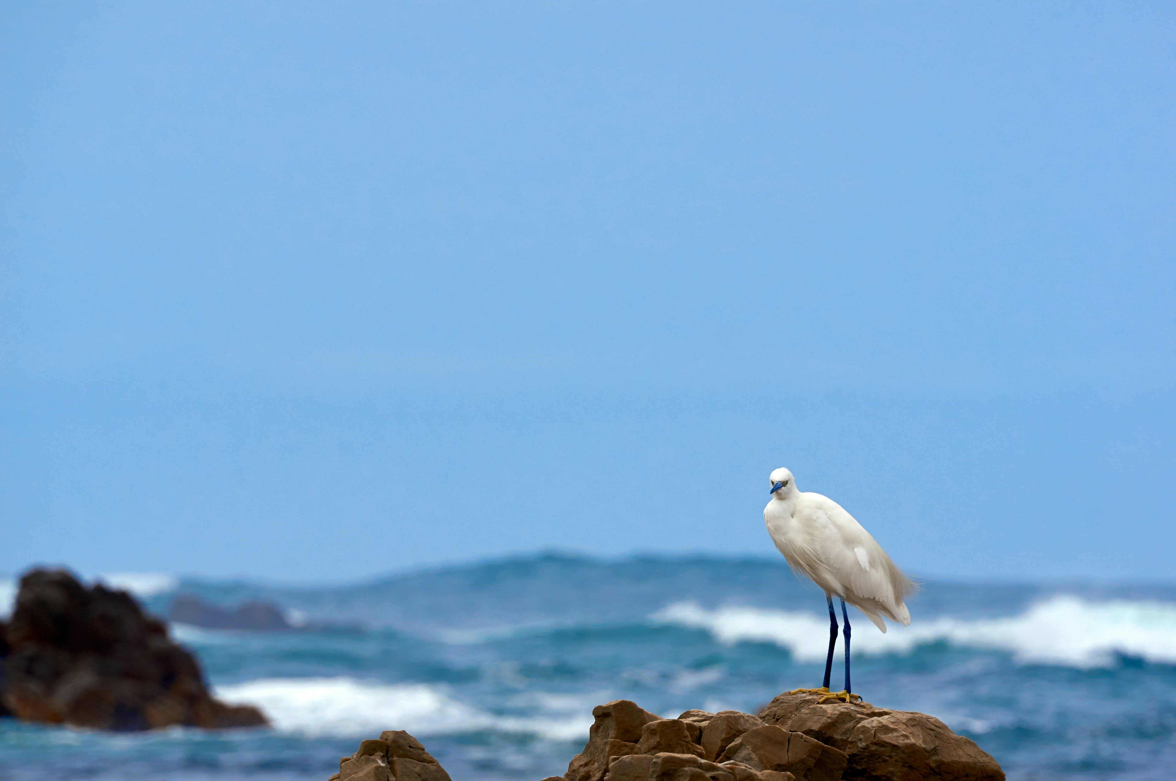 Photo by wolfgang_hasselmann