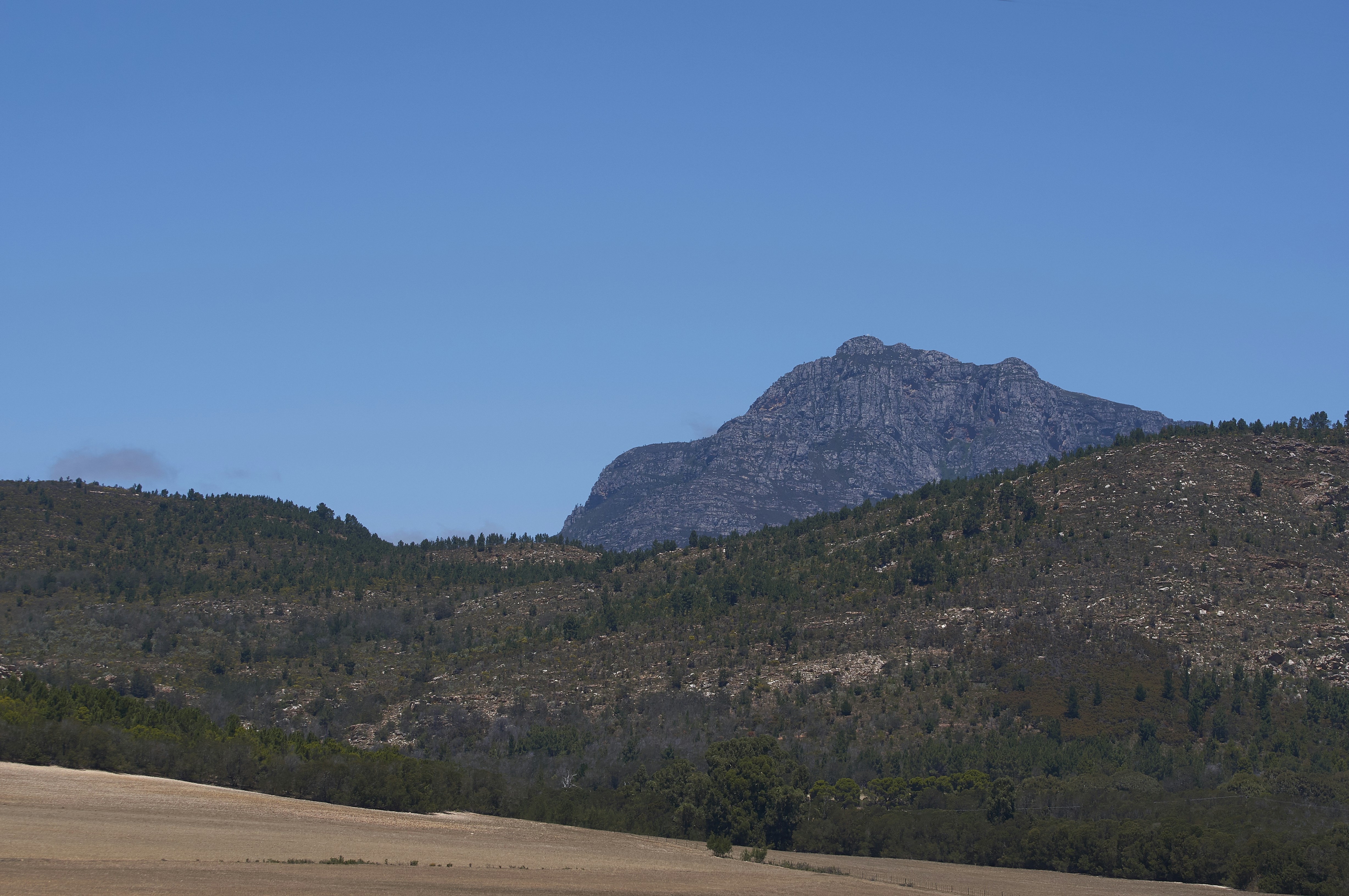 Photo by wolfgang_hasselmann