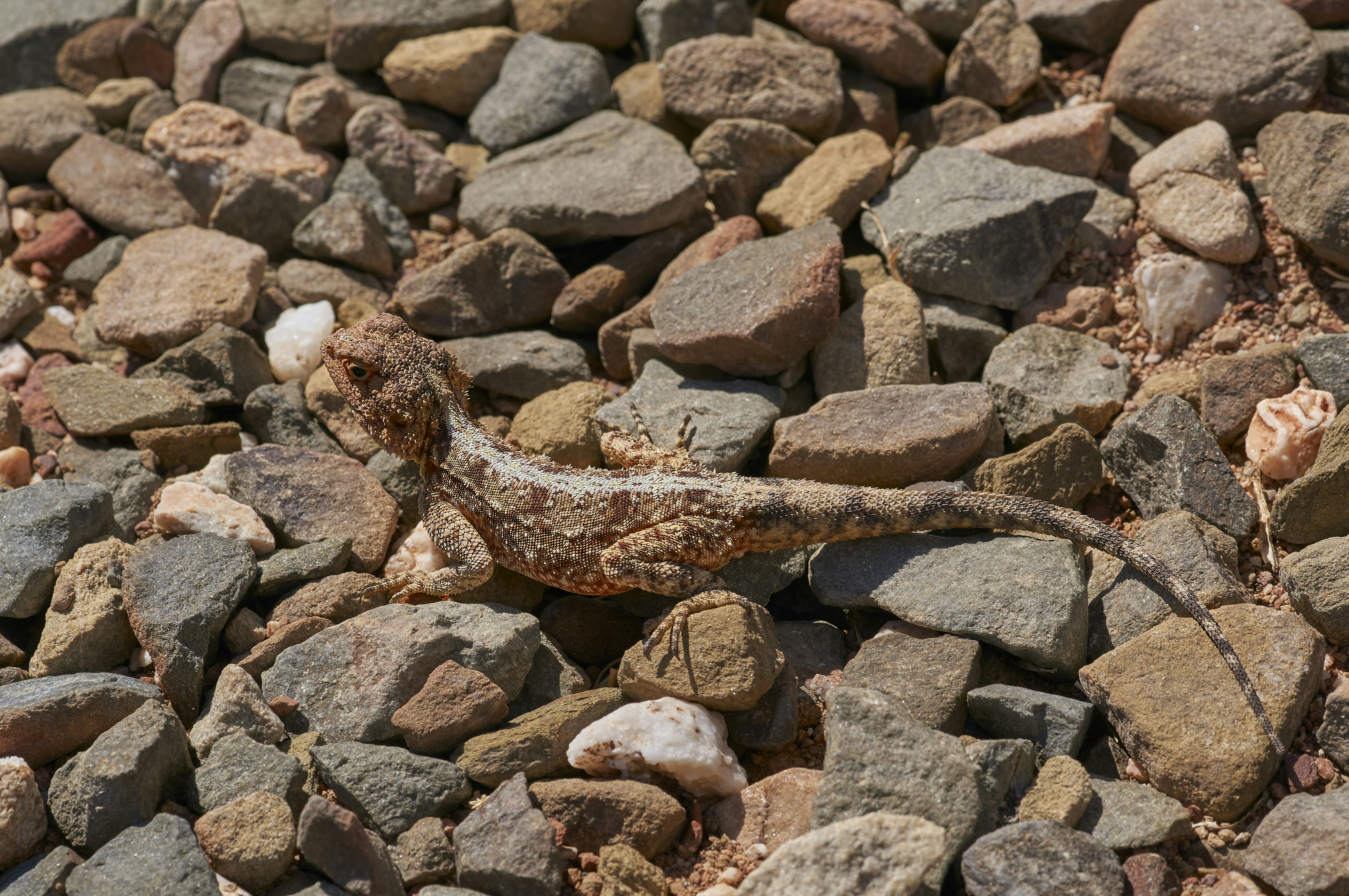 Photo by wolfgang_hasselmann