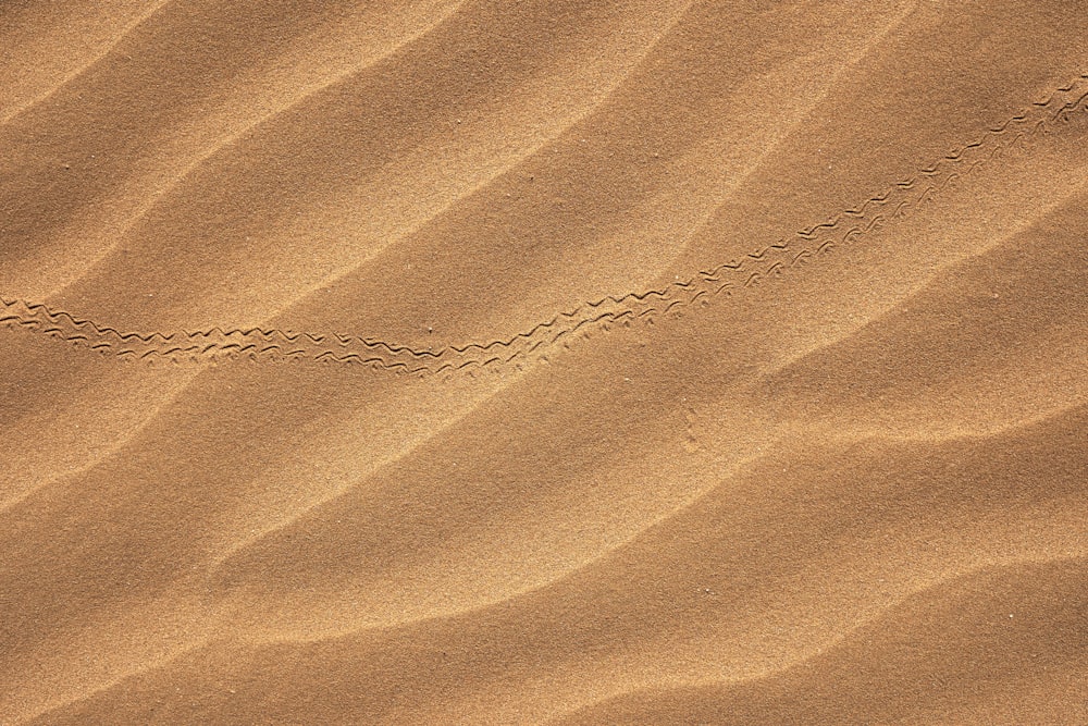 brown and white stripe textile