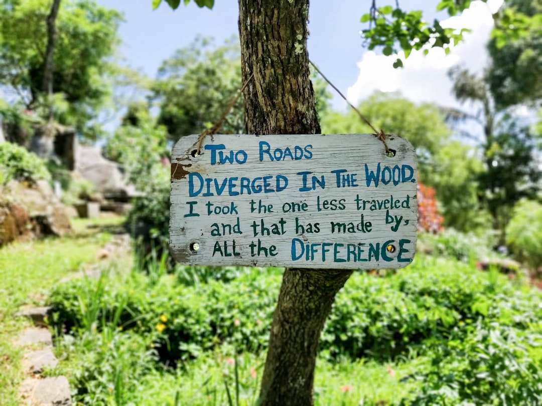 blue and white wooden signage, The Road Not Taken by Robert Frost