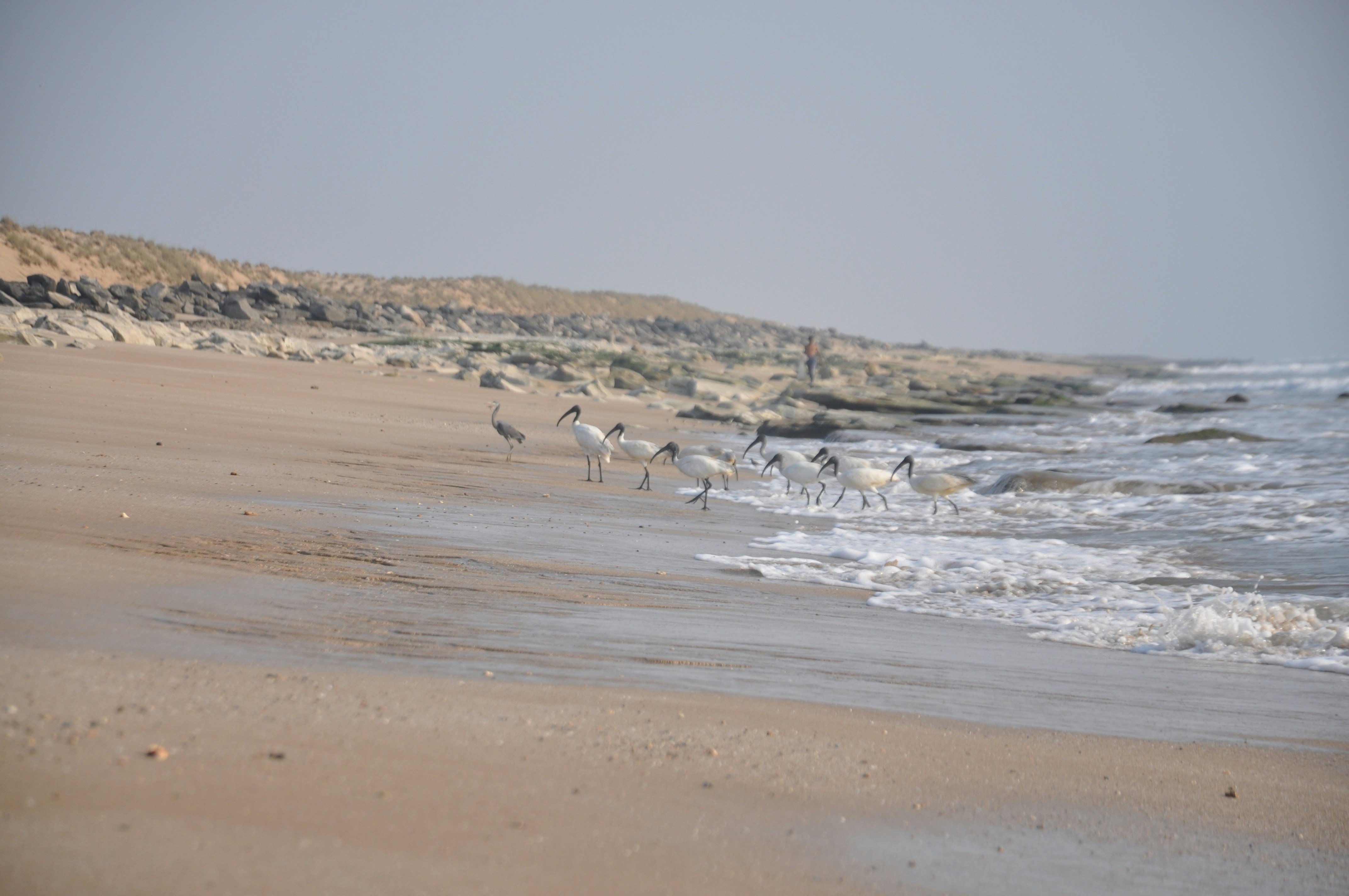 PBD destination photo