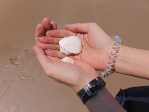 Delicate sea shells resting on soft sand beside a woven bracelet with natural fibers.