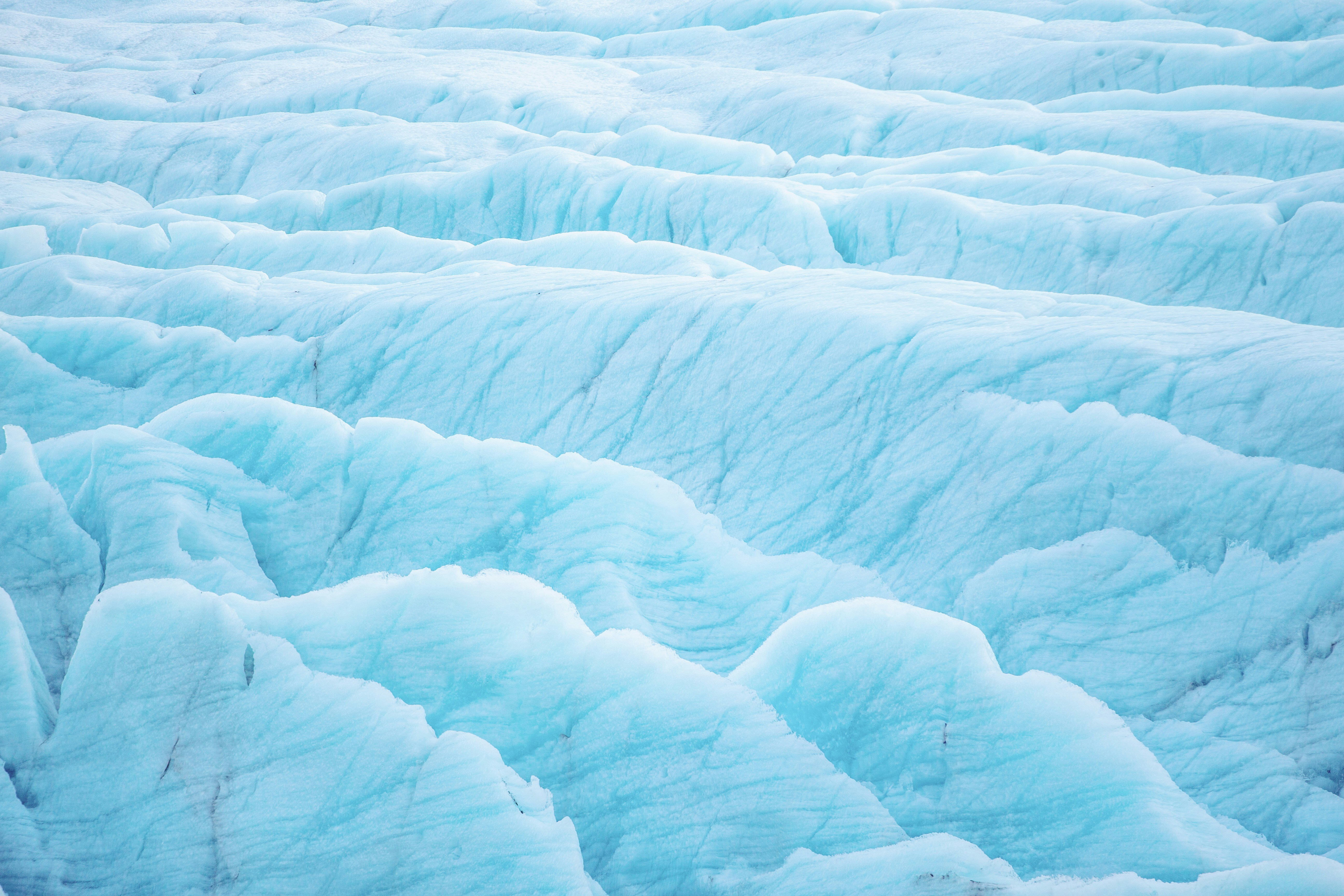 Photo by randall_y_m