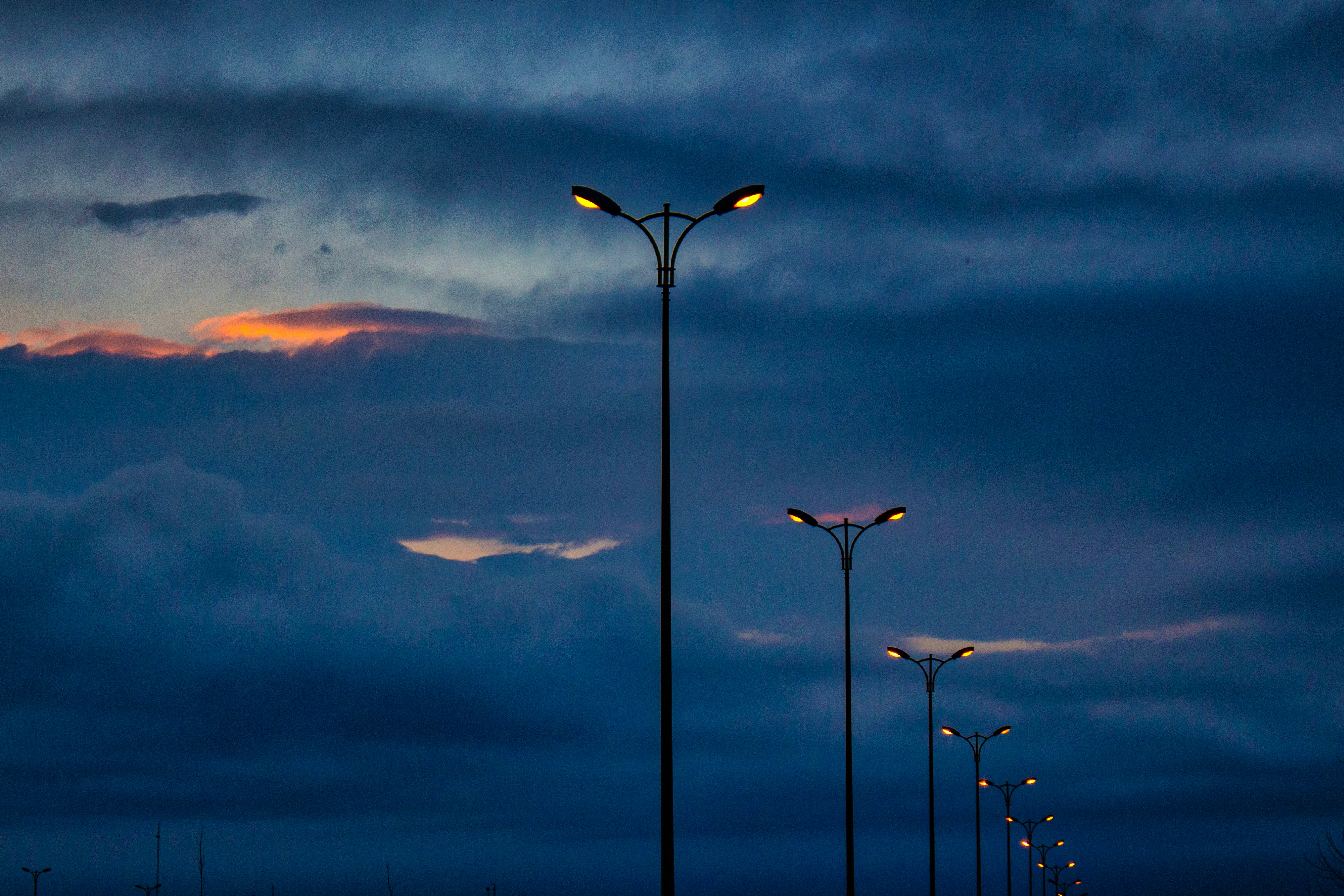 black and orange bird flying over the clouds during sunset
